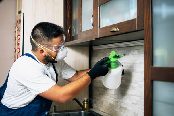 Best Pest Removal Services  in Cary, NC