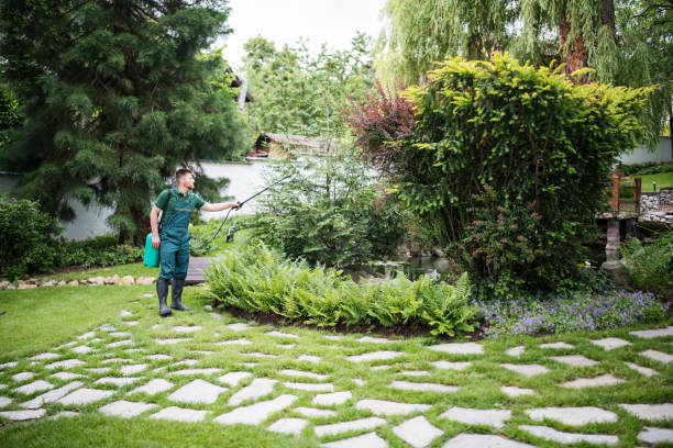 Best Best Pest Control Companies  in Cary, NC