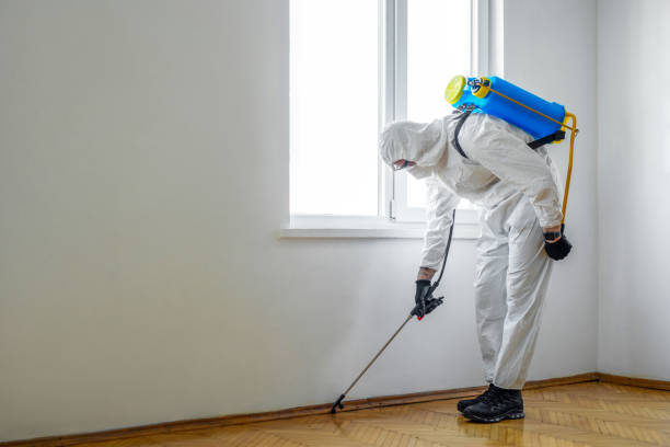 Best Affordable Pest Control Services  in Cary, NC