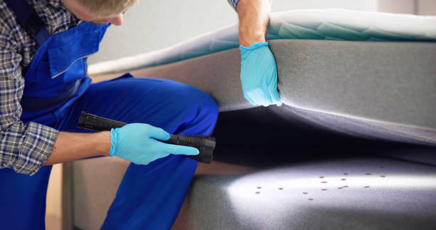 Best Termite Control Services  in Cary, NC