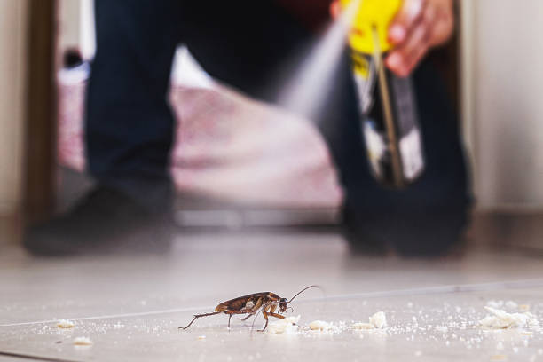 Best Pest Control Near Me  in Cary, NC