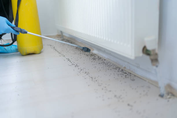 Best Pest Prevention Services  in Cary, NC
