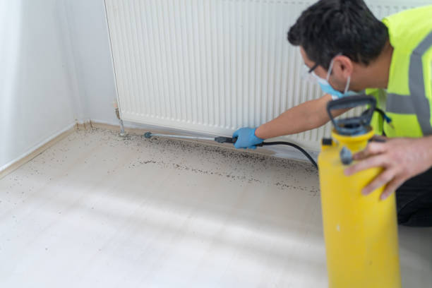 Best Pest Inspection Near Me  in Cary, NC