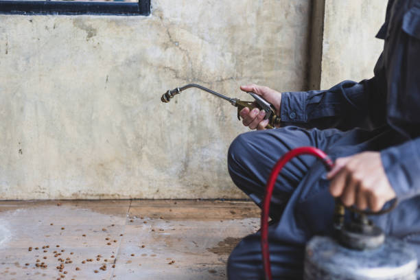 Best Mosquito Control Services  in Cary, NC