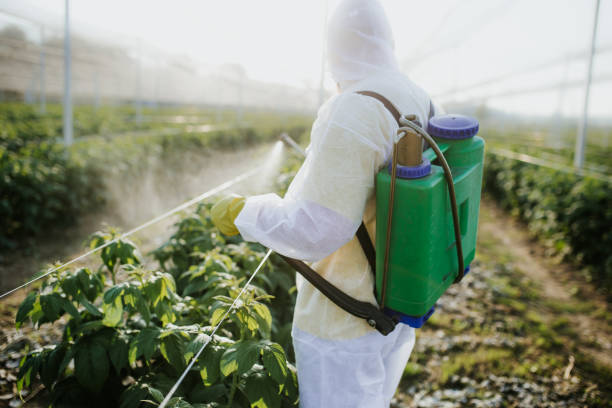Best Affordable Pest Control Services  in Cary, NC